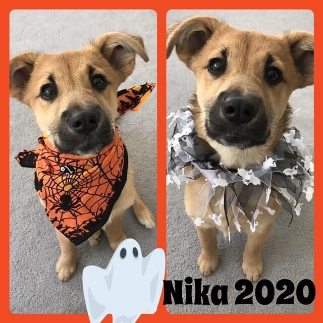 NIKA SOS 1