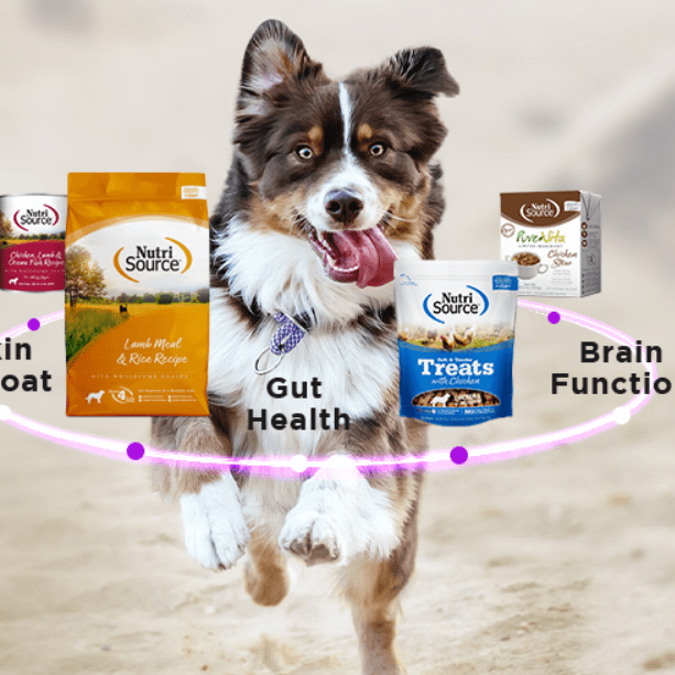 Nutri Source Dog Food Graphic