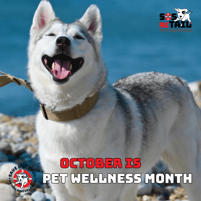 PET WELLNESS MONTH feature
