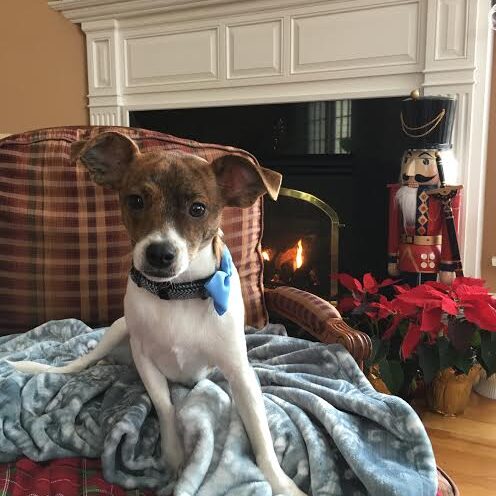 Petey