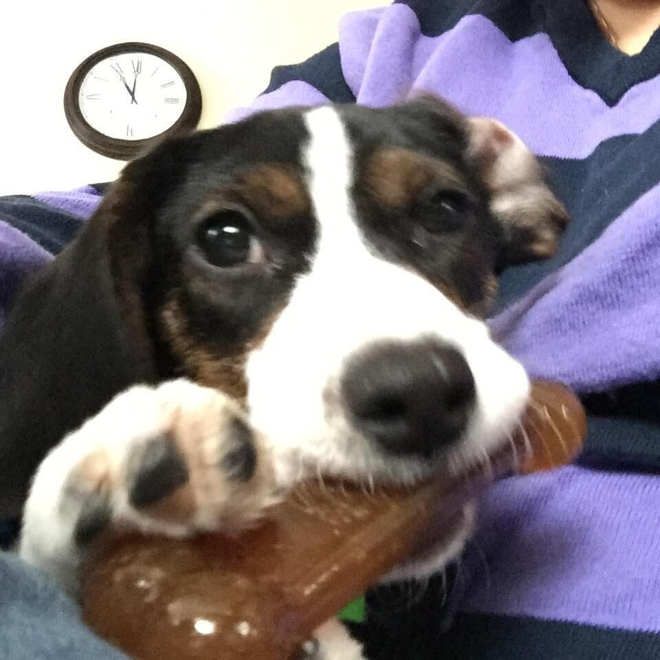Pickles3