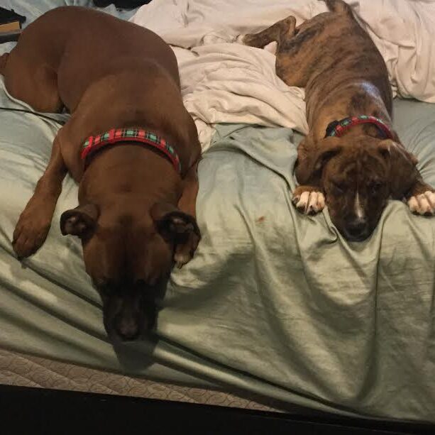 Roscoe