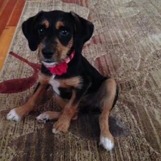 Ruby1