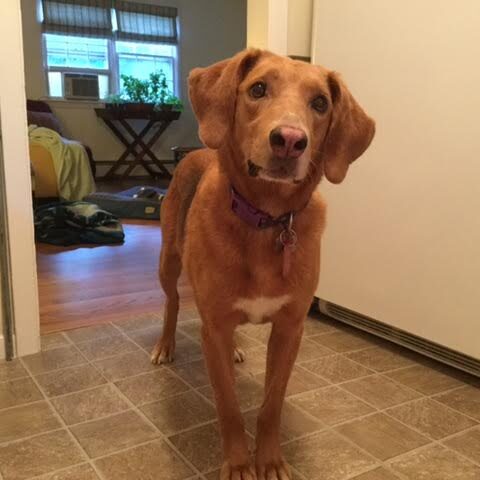 sadie1