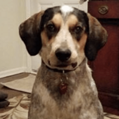 Sarah Snagglepus