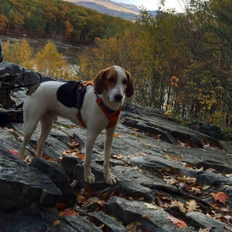 Tuukka1