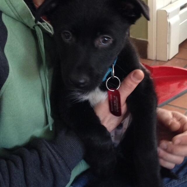 Wilbur
