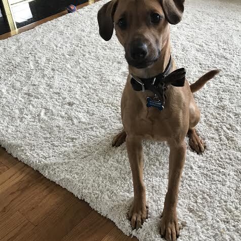 Zeus1
