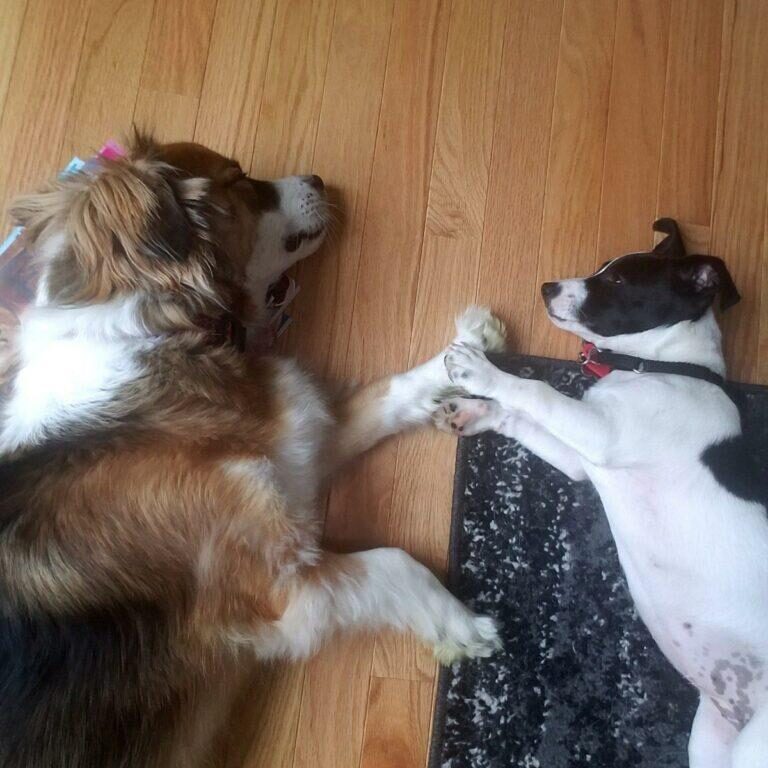 Ziti&amp;PenneA