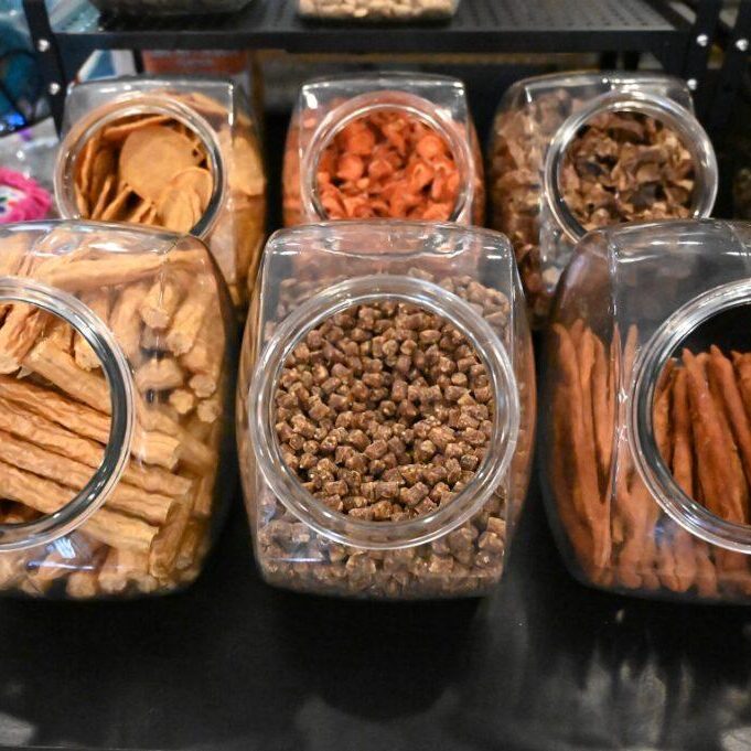 A display of six large glass jars filled with assorted pet treats, including dried meat, fish, and various crunchy snacks. Each jar is neatly organized on a black shelf with other pet products visible in the background.