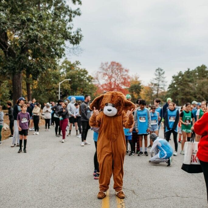 dog at start line