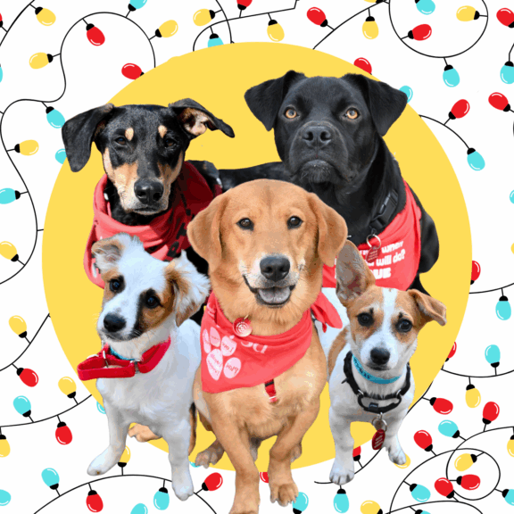 holiday banner