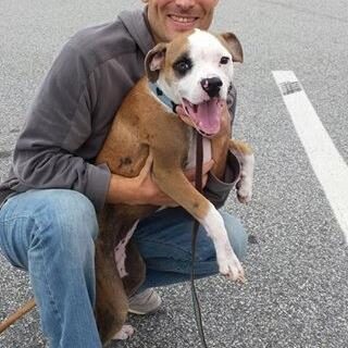 Holly and her new poppa!