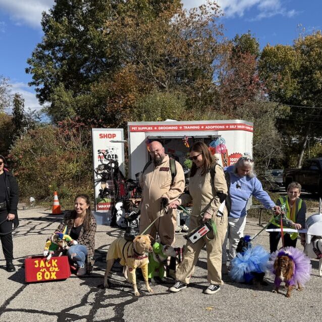howloween 2025 costume winners