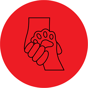 Emotional Support Animals FAQ Icon