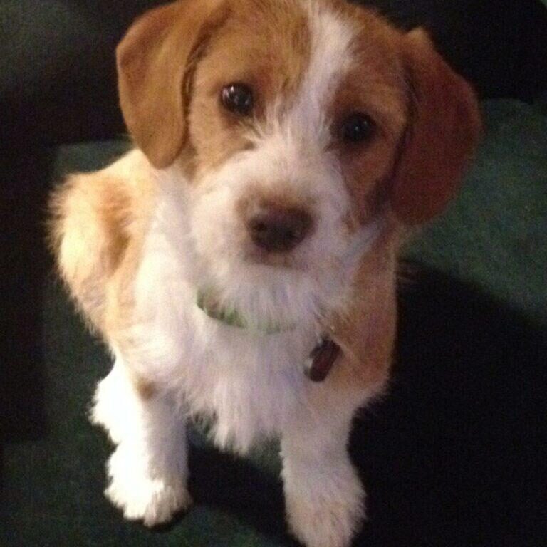 "Can I have my treat now please?"