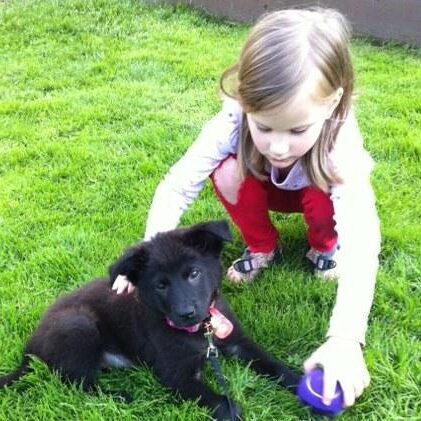 image (3)