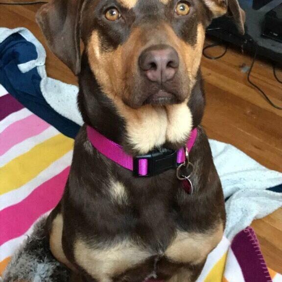 maggie1