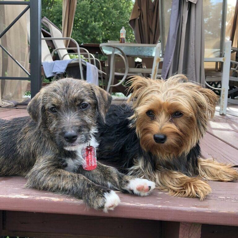 Happy Tails! 44