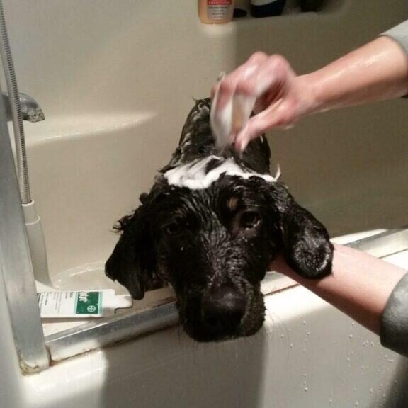 Bath time!