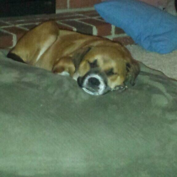 zzzzzzzzzzzzzz