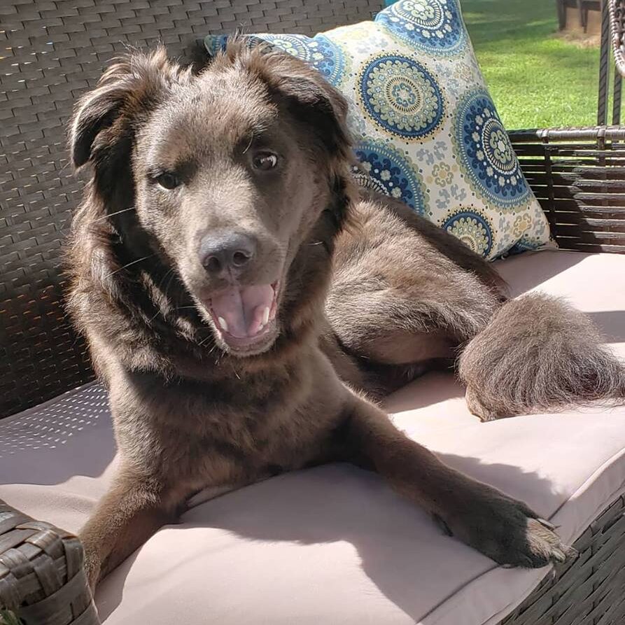 smokey patio