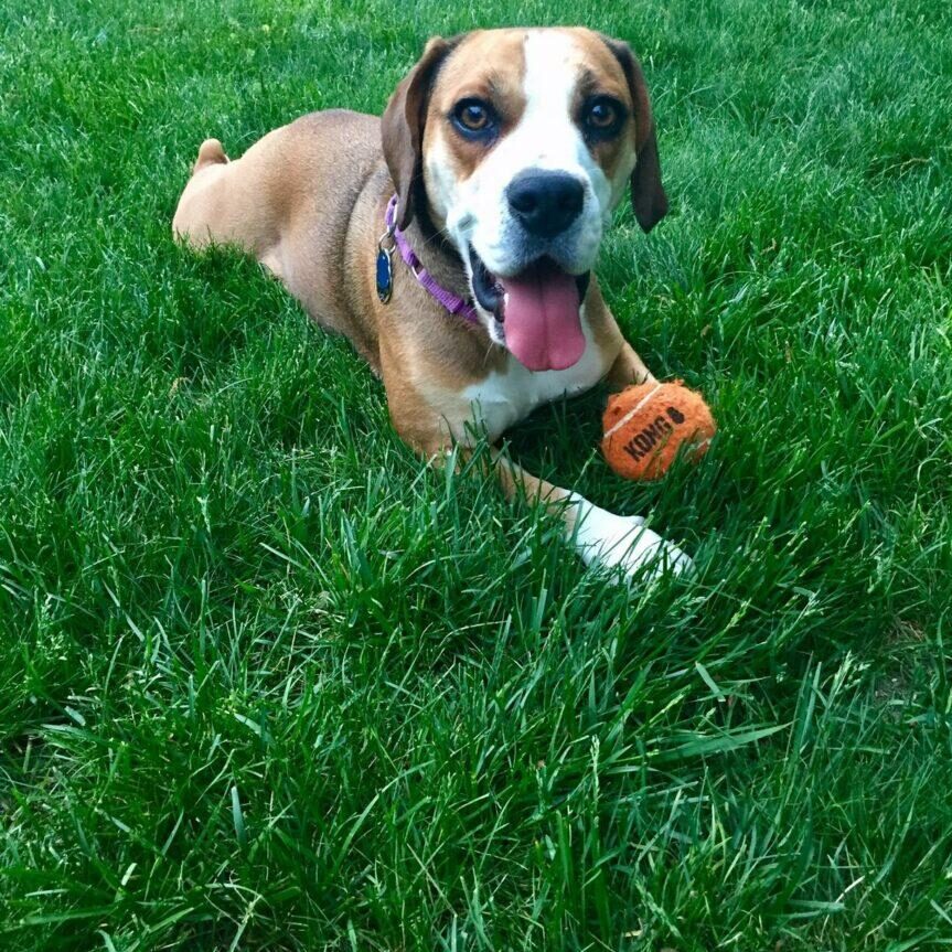 star