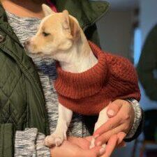 Happy Tails! 61